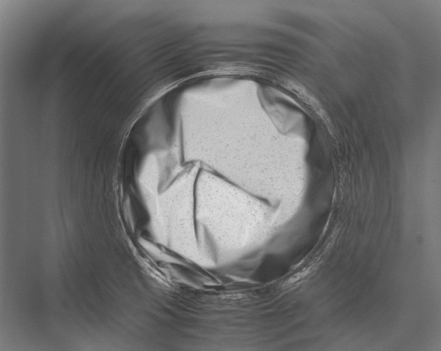 X0000075361425200610061735