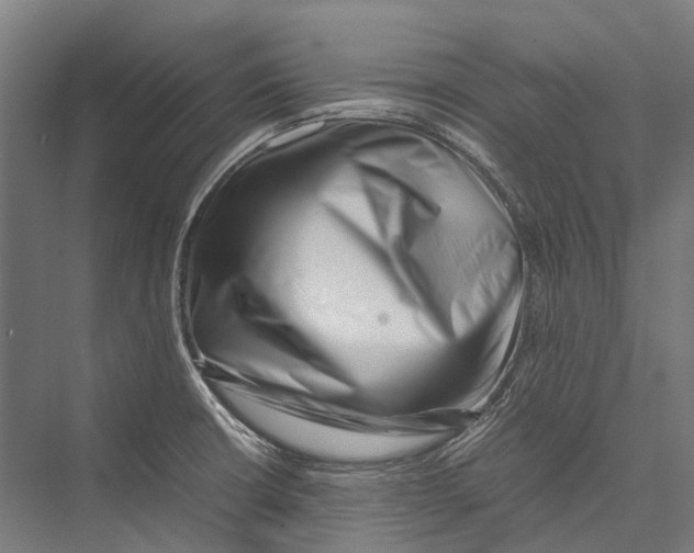 X0000075361426200610061735