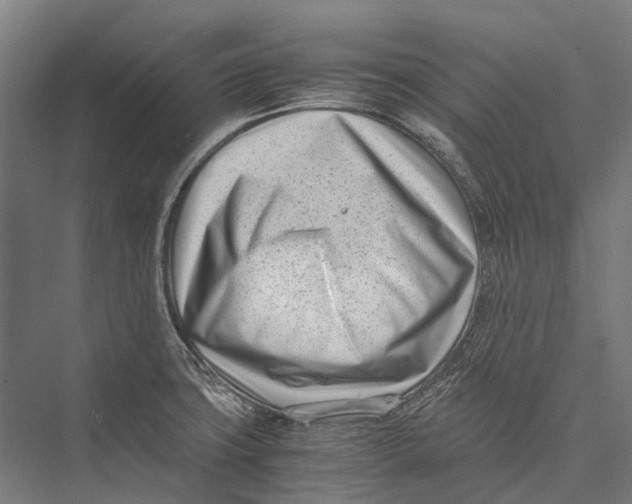 X0000075361427200610061735