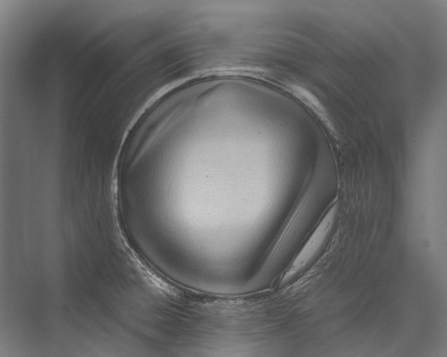 X0000075361428200610061735