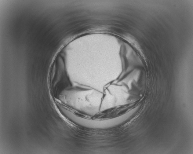 X0000075361429200610061735