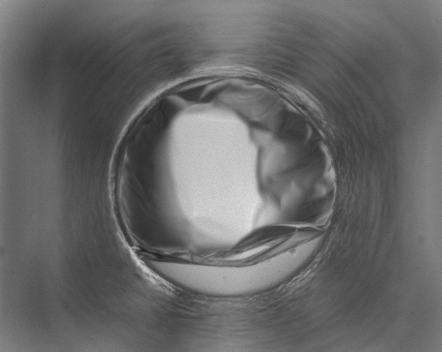 X0000075361430200610061735