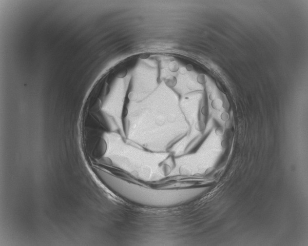 X0000075361432200610061735