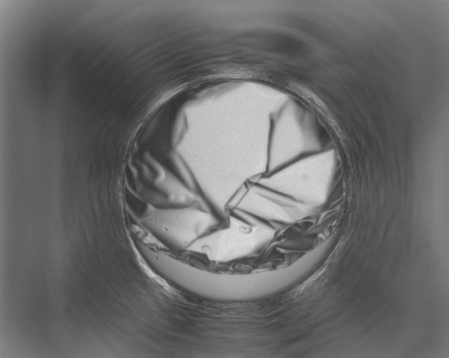 X0000075361433200610061735