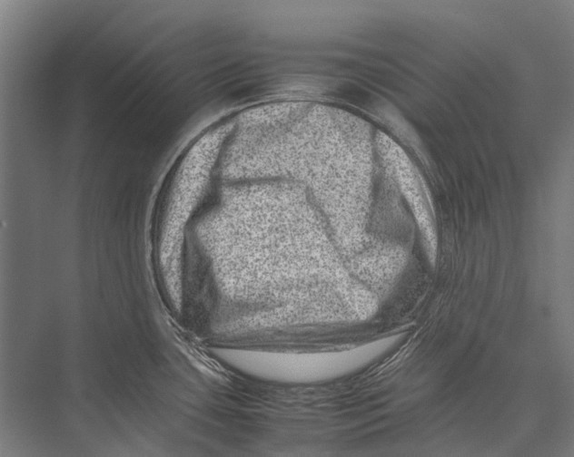 X0000075361435200610061735