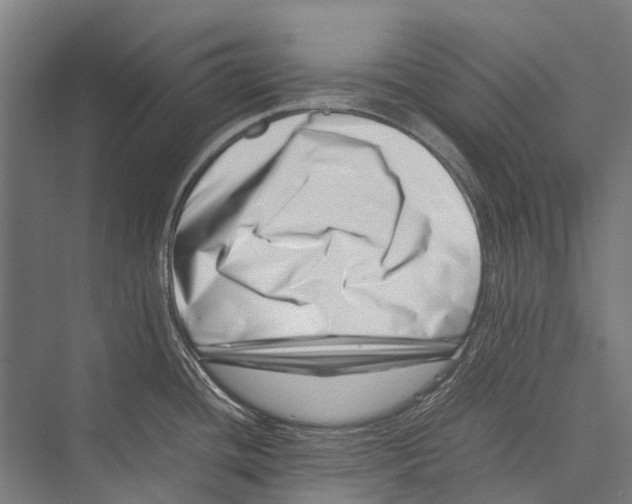 X0000075361436200610061735