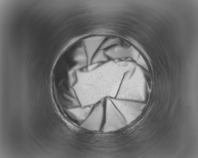 X0000075361437200610061735