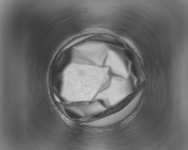 X0000075361438200610061735