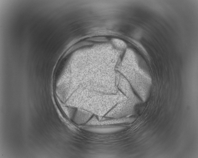 X0000075361439200610061735