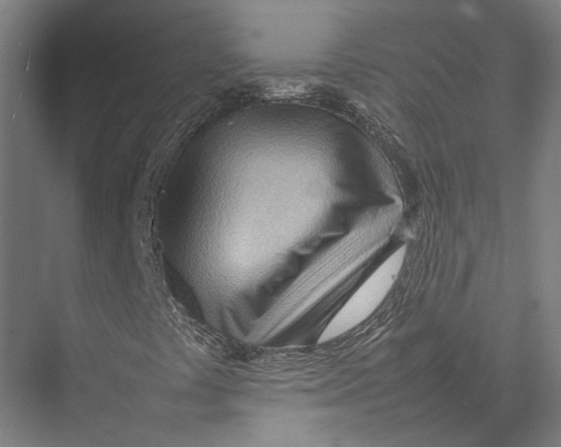 X0000075361441200610061734