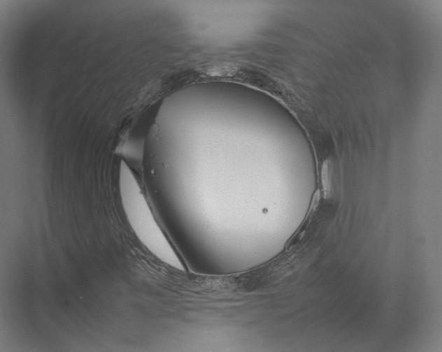 X0000075361443200610061734