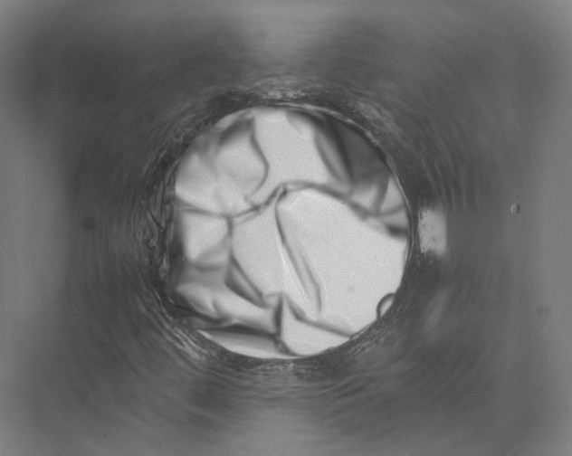 X0000075361444200610061734