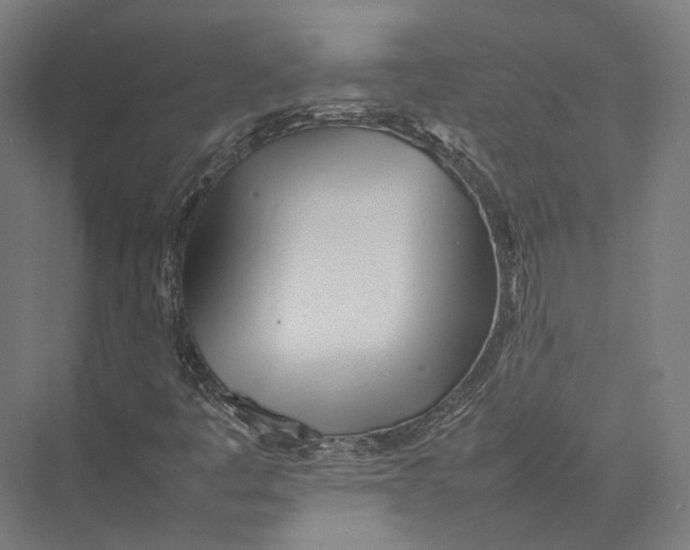 X0000075361445200610061734