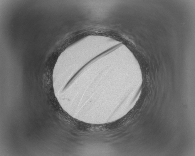 X0000075361447200610061734