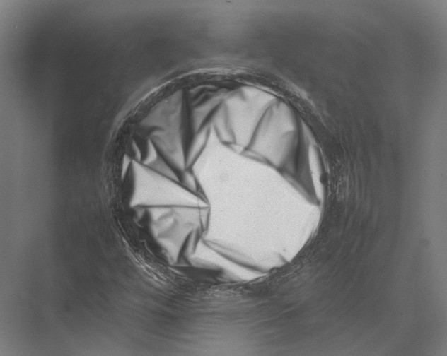 X0000075361448200610061734