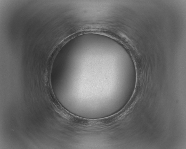 X0000075361449200610061734