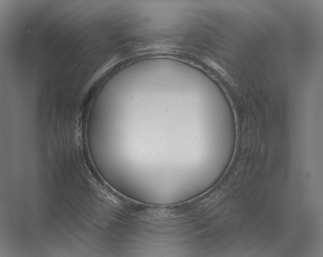 X0000075361450200610061734