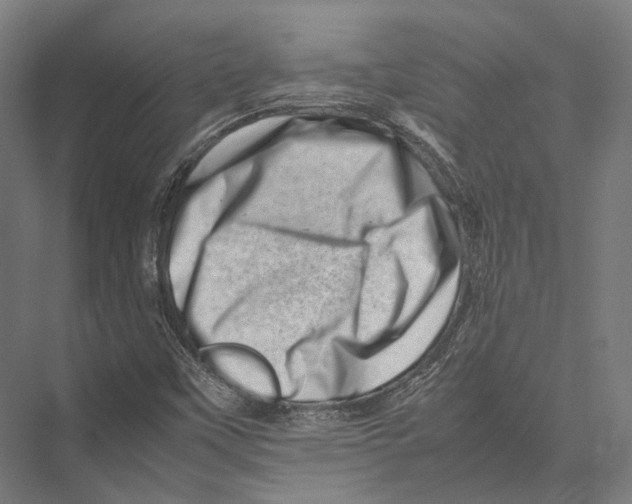 X0000075361451200610061734