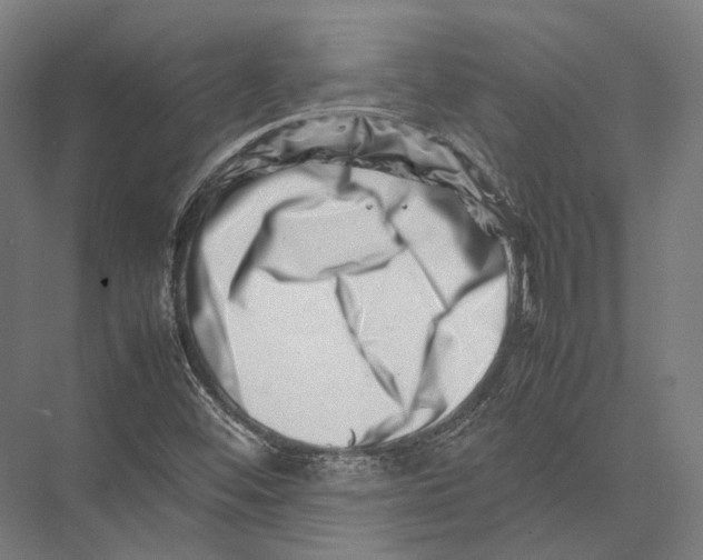 X0000075361452200610061734