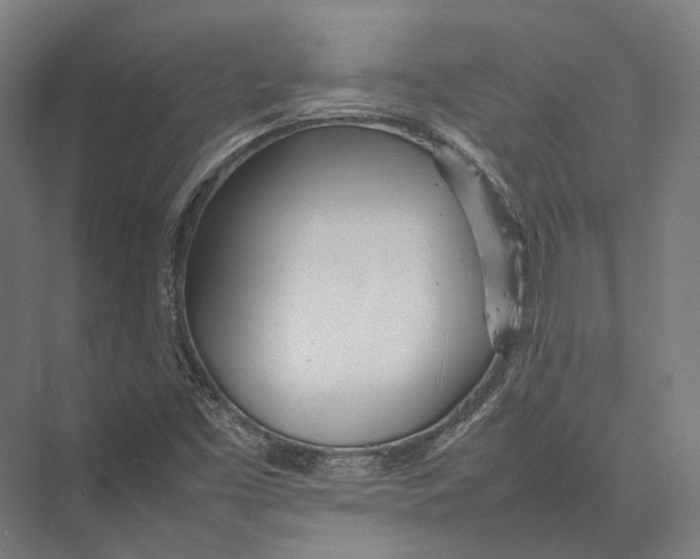 X0000075361453200610061734