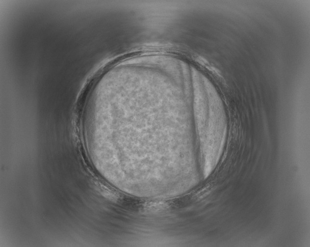 X0000075361454200610061734