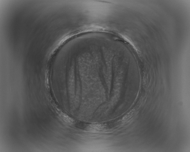 X0000075361455200610061734