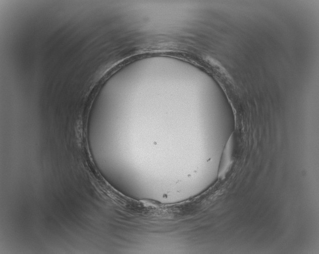 X0000075361457200610061734