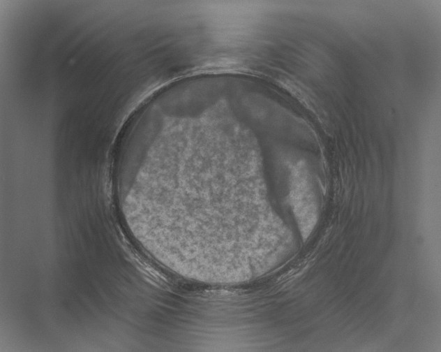 X0000075361458200610061734