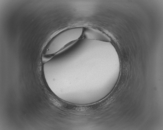 X0000075361461200610061734