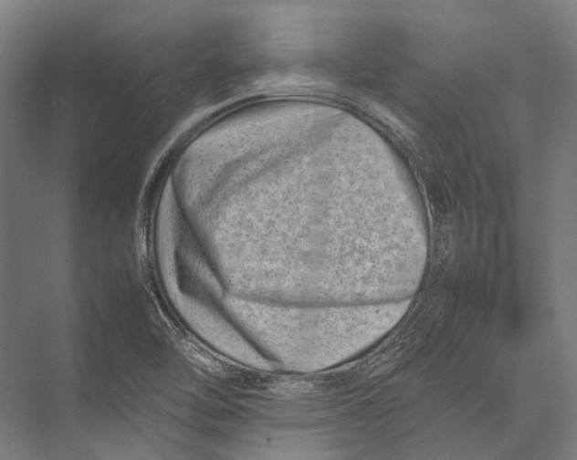 X0000075361462200610061734