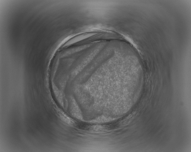 X0000075361463200610061734