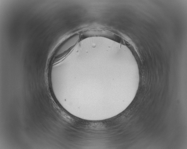 X0000075361464200610061734