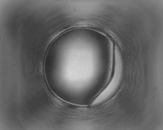 X0000075361465200610061734