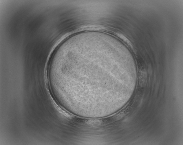 X0000075361466200610061734