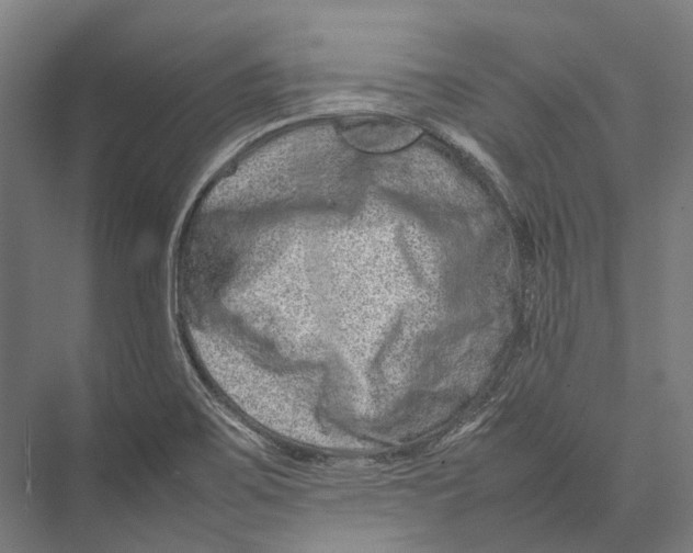 X0000075361467200610061734