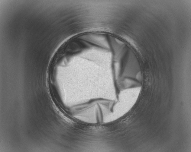 X0000075361468200610061734