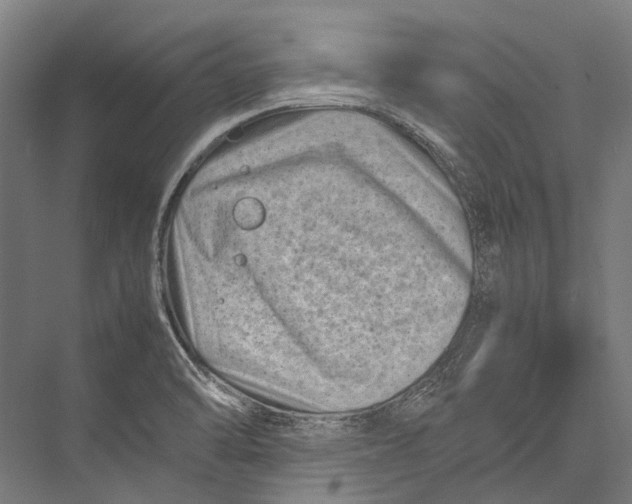 X0000075361470200610061734