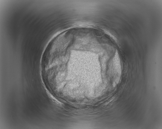 X0000075361471200610061734