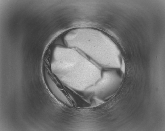 X0000075361472200610061734