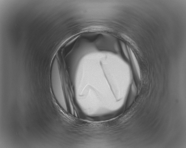 X0000075361473200610061734