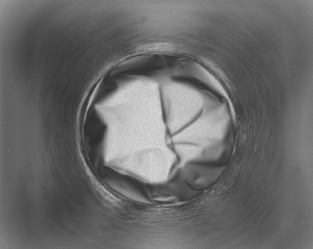 X0000075361475200610061734