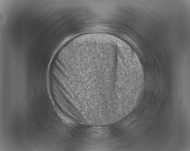 X0000075361478200610061734