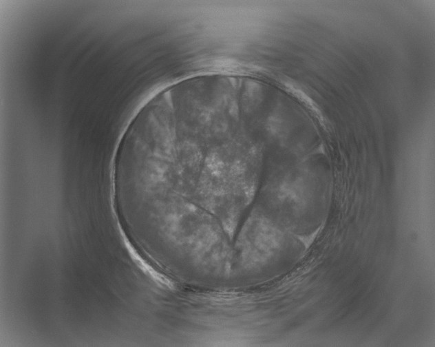 X0000075361479200610061734