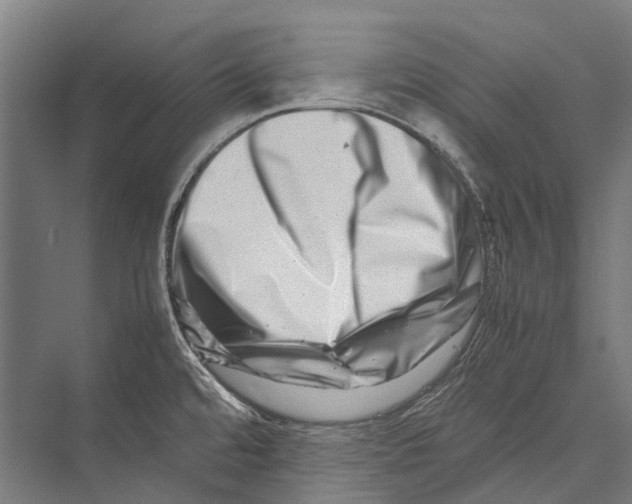 X0000075361480200610061734