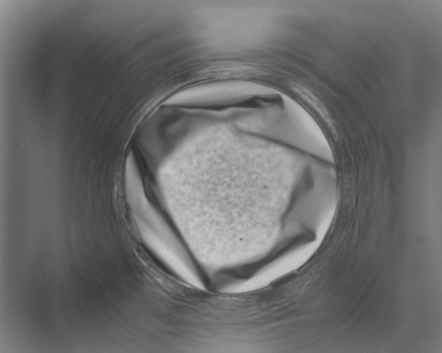 X0000075361481200610061734