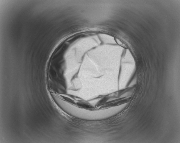 X0000075361483200610061734