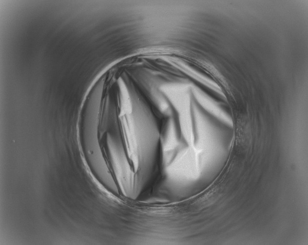 X0000075361484200610061734