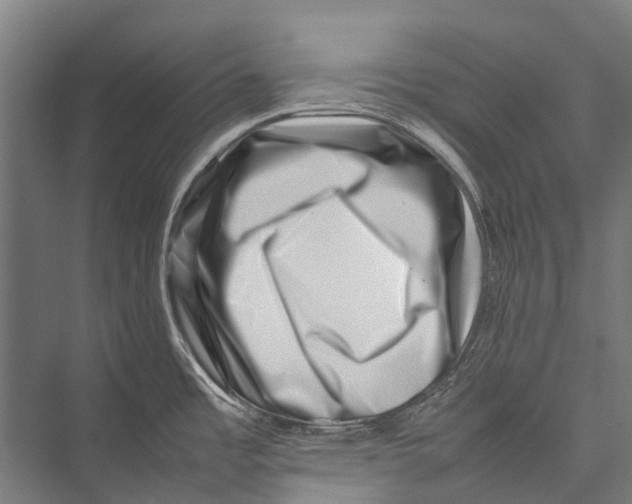 X0000075361485200610061734