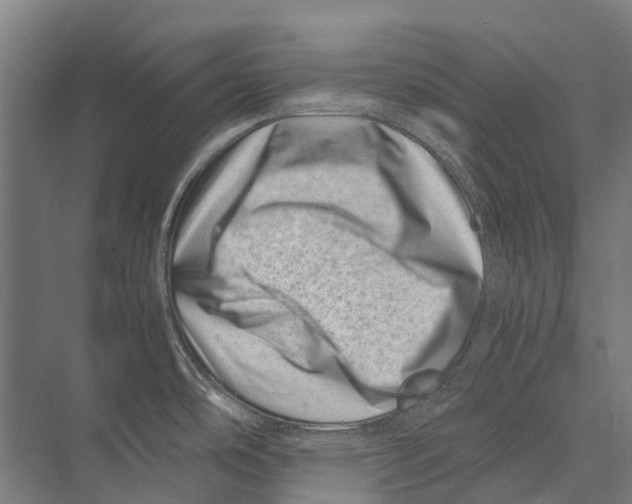 X0000075361486200610061734