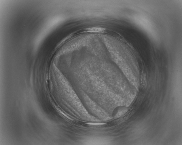 X0000075361487200610061734